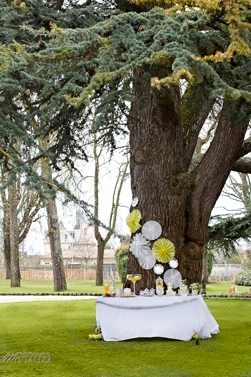 photo cérémonie enfants mariage jaune amour d'enfance little wedding yellow bordeaux chateau pape clement by modaliza -6360