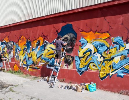 Expo Transfert & Shake well festival