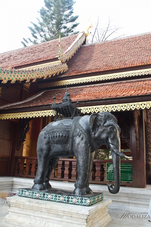 photo thailande chiang mai temple wat doi suthep by modaliza photographe-6557
