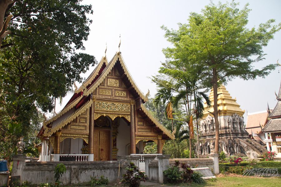 photo thailande chiang mai temples moine by modaliza photographe-6715