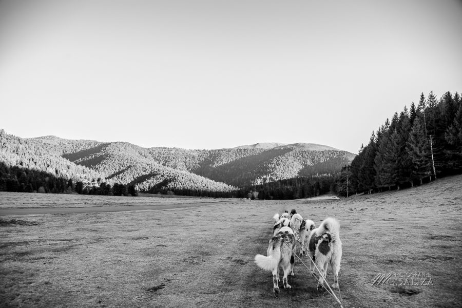la mongie pyrenees chiens traineau vacances en famille by modaliza photo-6