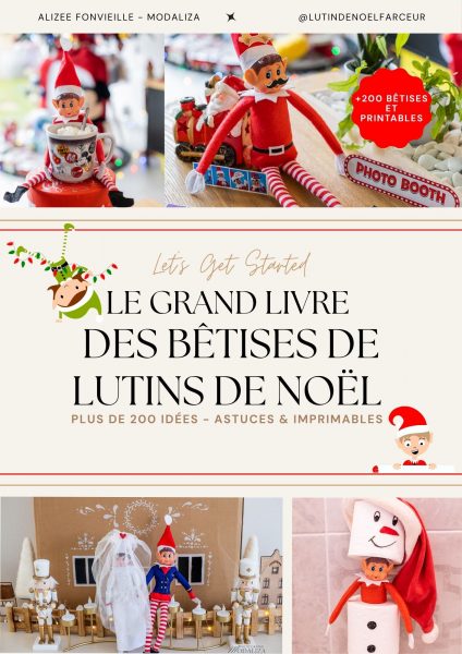 Couverture Guide betises de lutin farceur de noel