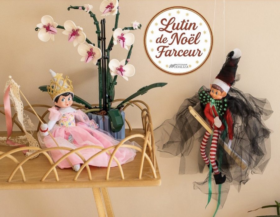 thumbnail_Présentation Guide de lutin de noel 200 idées bêtises (Vidéo mobile)