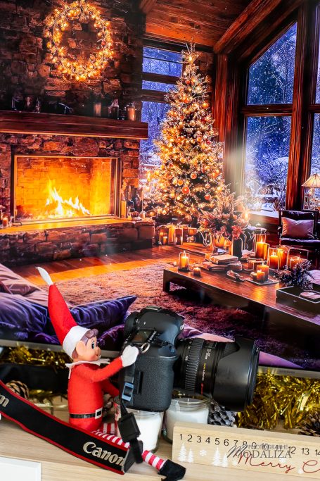 lutin de noel farceur appareil photo canon