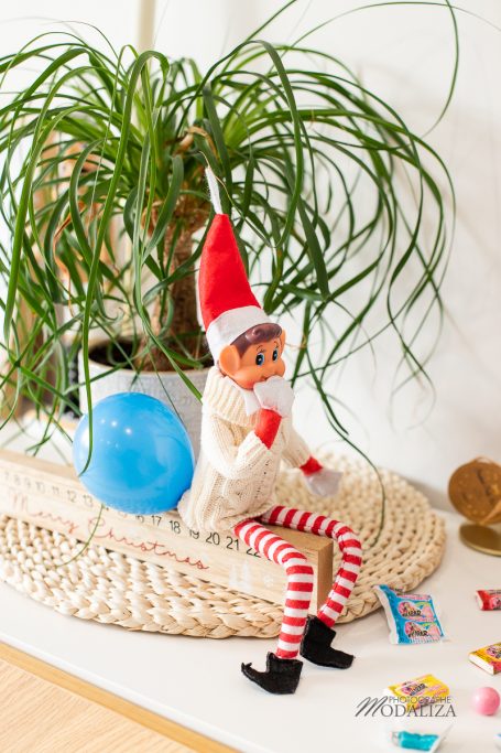 lutin de noel bulle pet