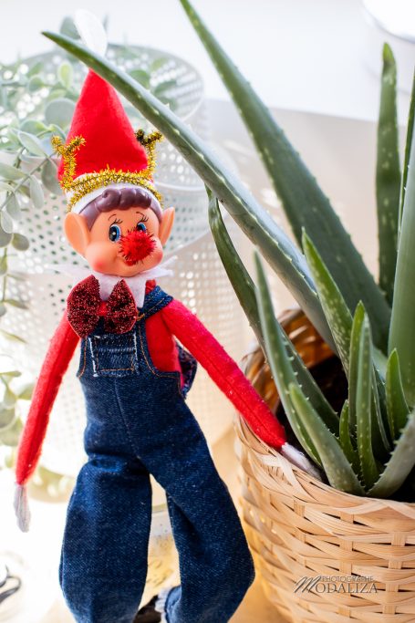 lutin de noel farceur clown