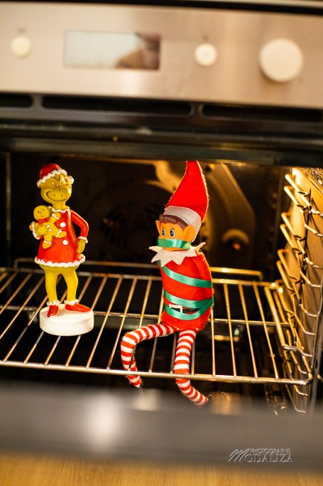 lutin de noel farceur enquete grinch