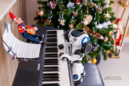 lutin de noel farceur concert