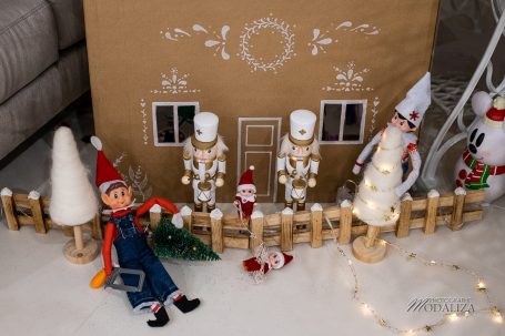 lutin de noel famille +100 idées bêtises