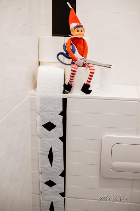 lutin de noel farceur flocon papier toilette
