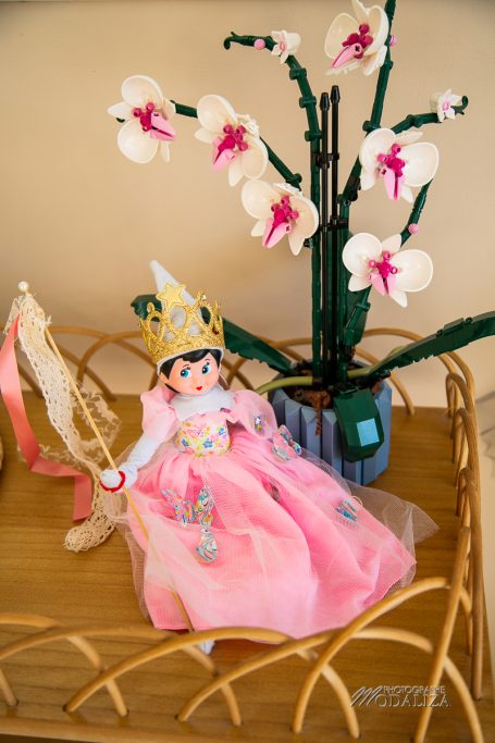 lutin de noel farceur fee Glinda